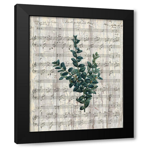Musical Botanical 3 Black Modern Wood Framed Art Print by Kimberly, Allen