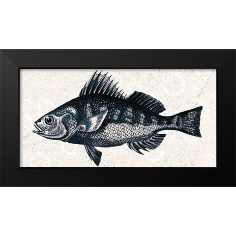 Sea Life 1 Black Modern Wood Framed Art Print by Kimberly, Allen