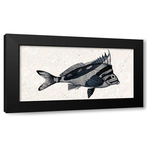 Sea Life 2 Black Modern Wood Framed Art Print with Double Matting by Kimberly, Allen
