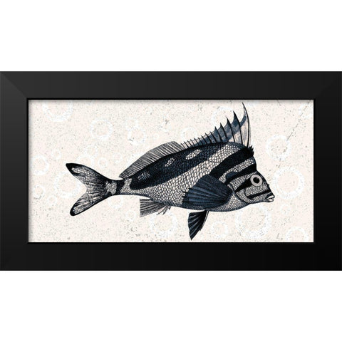 Sea Life 2 Black Modern Wood Framed Art Print by Kimberly, Allen
