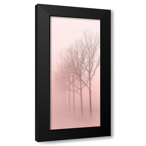 Pink Dawn 1 Black Modern Wood Framed Art Print by Kimberly, Allen