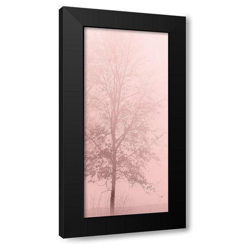 Pink Dawn 2 Black Modern Wood Framed Art Print with Double Matting by Kimberly, Allen