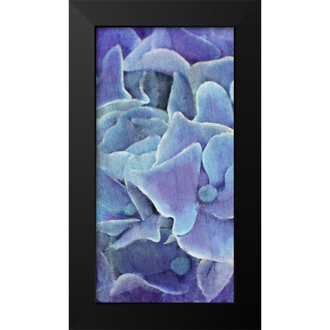 Hydrangea Panel 1 Black Modern Wood Framed Art Print by Kimberly, Allen