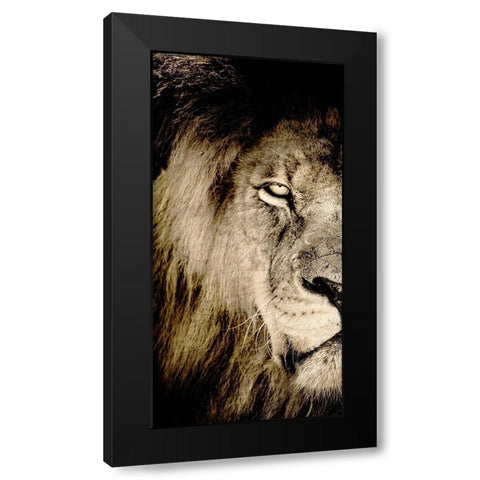Gaze A Black Modern Wood Framed Art Print by Kimberly, Allen