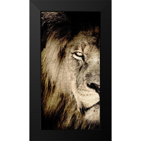 Gaze A Black Modern Wood Framed Art Print by Kimberly, Allen