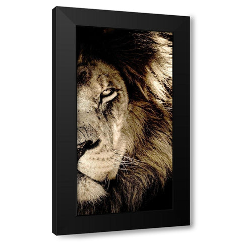 Gaze B Black Modern Wood Framed Art Print by Kimberly, Allen