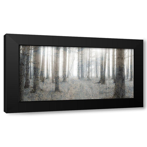 Forest Dream Black Modern Wood Framed Art Print by Kimberly, Allen