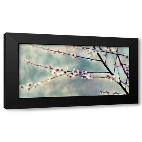Cherry Blossoms Bloom Black Modern Wood Framed Art Print with Double Matting by Kimberly, Allen