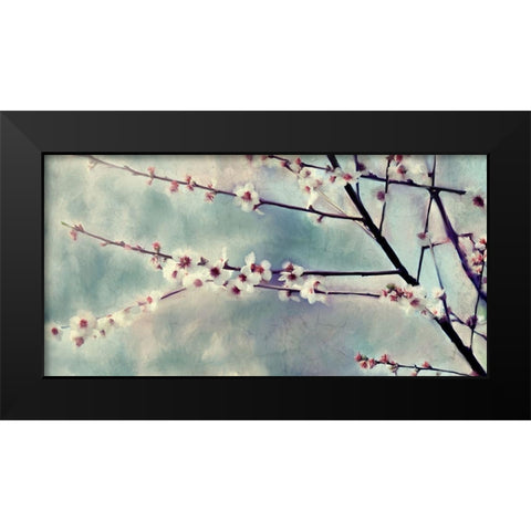 Cherry Blossoms Bloom Black Modern Wood Framed Art Print by Kimberly, Allen