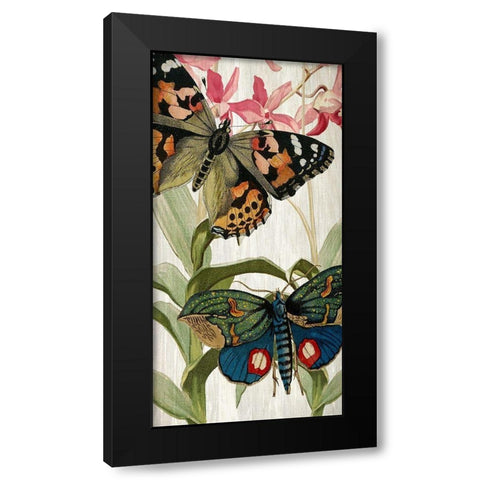 Butterfly World 1 Black Modern Wood Framed Art Print with Double Matting by Kimberly, Allen