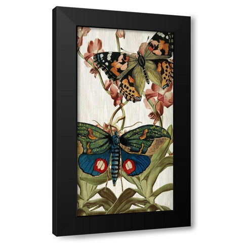 Butterfly World 3 Black Modern Wood Framed Art Print with Double Matting by Kimberly, Allen