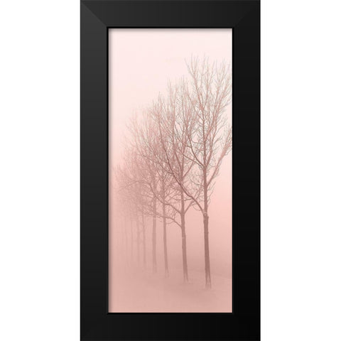 Pinkest Dawn 1 Black Modern Wood Framed Art Print by Kimberly, Allen