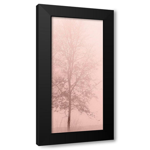 Pinkest Dawn 2 Black Modern Wood Framed Art Print by Kimberly, Allen