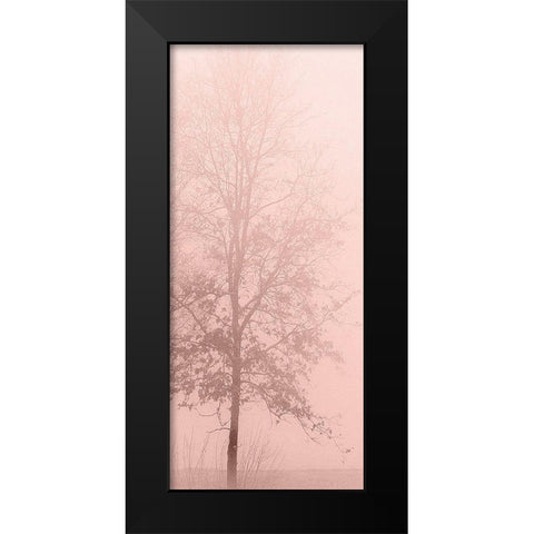 Pinkest Dawn 2 Black Modern Wood Framed Art Print by Kimberly, Allen