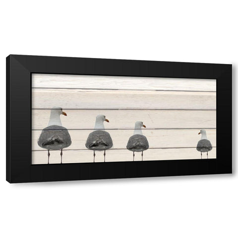 Seagulls on Wood Black Modern Wood Framed Art Print by Kimberly, Allen