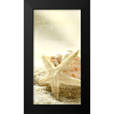 Starfish Beach 6 v2 Black Modern Wood Framed Art Print by Kimberly, Allen