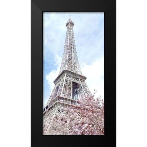 Paris in Bloom 1 Black Modern Wood Framed Art Print by Kimberly, Allen