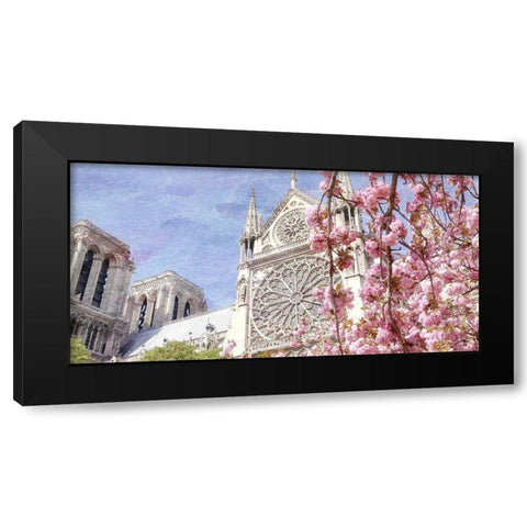 Paris in Bloom 3 Black Modern Wood Framed Art Print with Double Matting by Kimberly, Allen