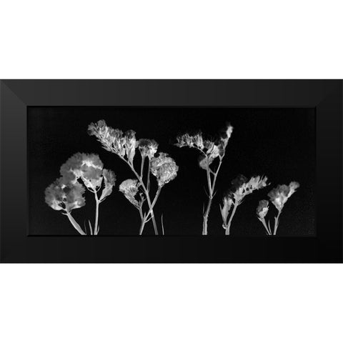 Wild Blooms Black Modern Wood Framed Art Print by Kimberly, Allen