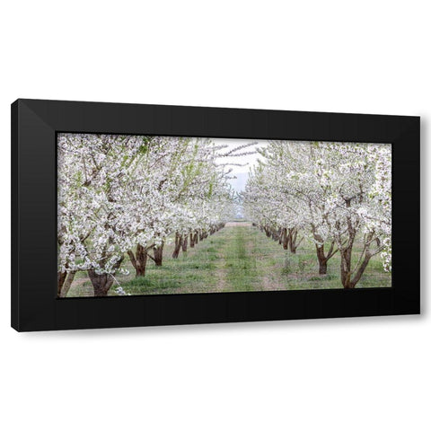 Countryside Black Modern Wood Framed Art Print by Kimberly, Allen