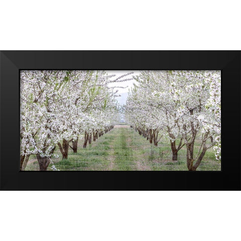Countryside Black Modern Wood Framed Art Print by Kimberly, Allen