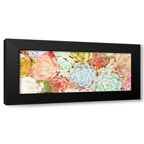 Colorful Succulents 1 Black Modern Wood Framed Art Print with Double Matting by Kimberly, Allen