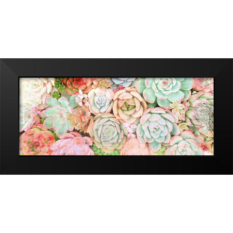 Colorful Succulents 2 Black Modern Wood Framed Art Print by Kimberly, Allen