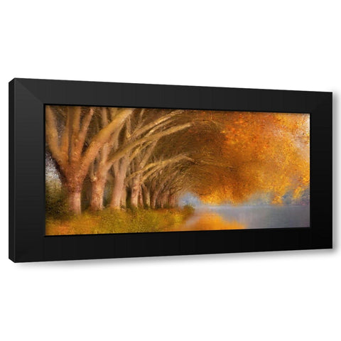 Quiet Pond Black Modern Wood Framed Art Print with Double Matting by Allen, Kimberly