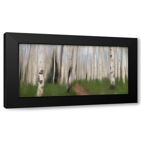 Path through the Aspens Black Modern Wood Framed Art Print by Allen, Kimberly