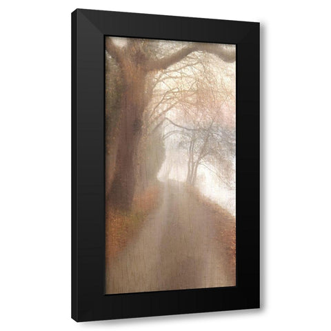 Into the Mist Black Modern Wood Framed Art Print with Double Matting by Allen, Kimberly