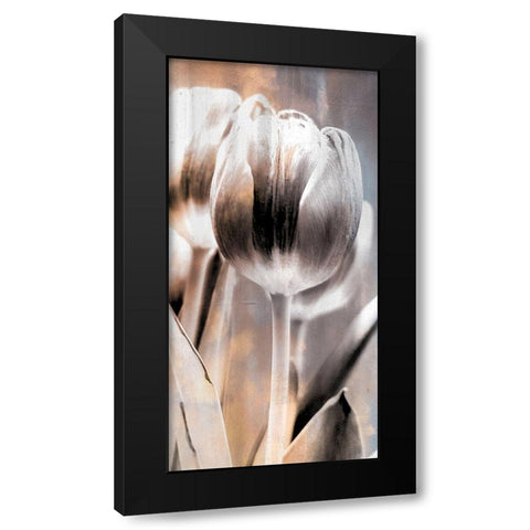 Tulip 1 Black Modern Wood Framed Art Print with Double Matting by Allen, Kimberly