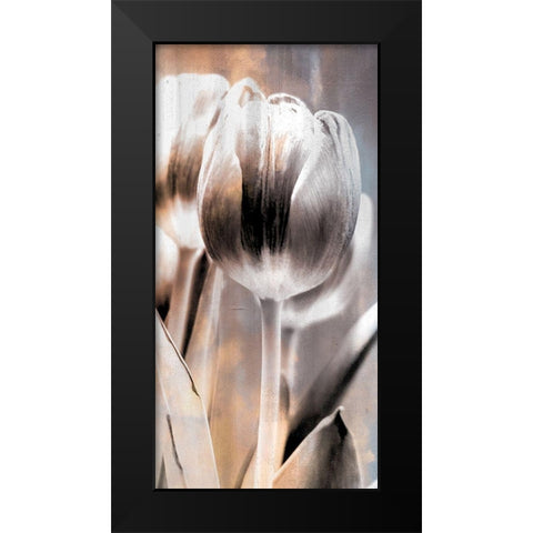 Tulip 1 Black Modern Wood Framed Art Print by Allen, Kimberly