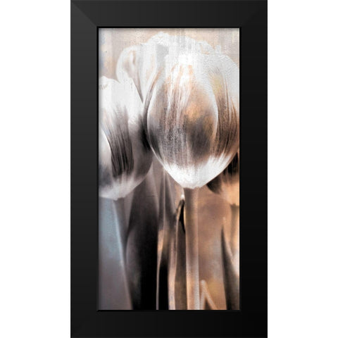 Tulip 2 Black Modern Wood Framed Art Print by Allen, Kimberly