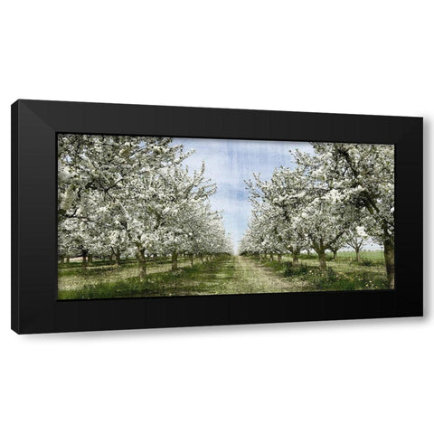 Spring Black Modern Wood Framed Art Print with Double Matting by Allen, Kimberly