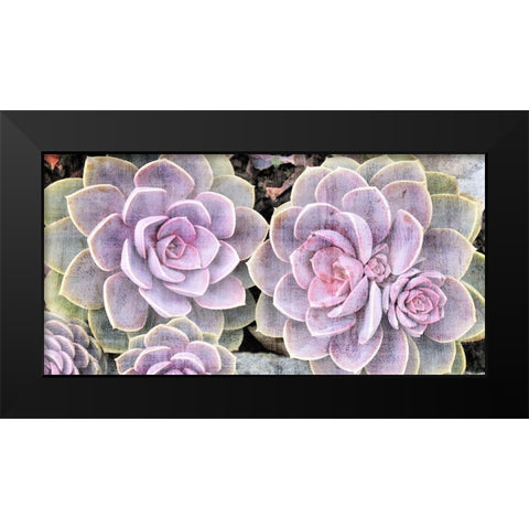 Succulents Black Modern Wood Framed Art Print by Allen, Kimberly
