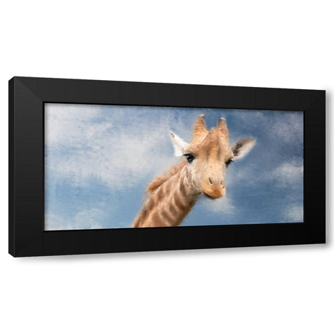 High View Black Modern Wood Framed Art Print with Double Matting by Allen, Kimberly