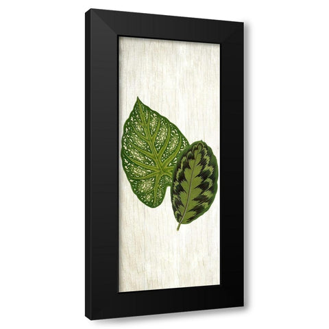 Botanical Greens 1 Black Modern Wood Framed Art Print with Double Matting by Allen, Kimberly