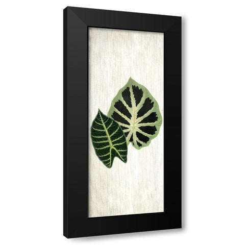 Botanical Greens 2 Black Modern Wood Framed Art Print by Allen, Kimberly