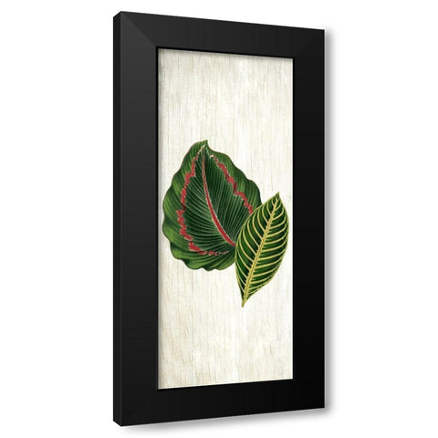 Botanical Greens 3 Black Modern Wood Framed Art Print with Double Matting by Allen, Kimberly