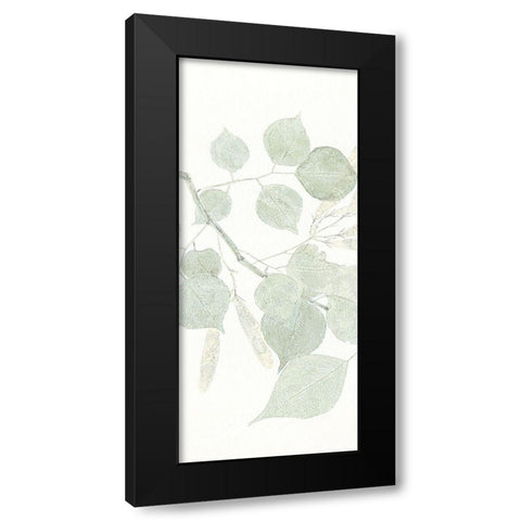 Soft Leaves 1 Black Modern Wood Framed Art Print with Double Matting by Allen, Kimberly