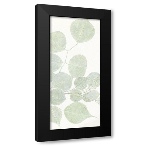 Soft Leaves 3 Black Modern Wood Framed Art Print with Double Matting by Allen, Kimberly