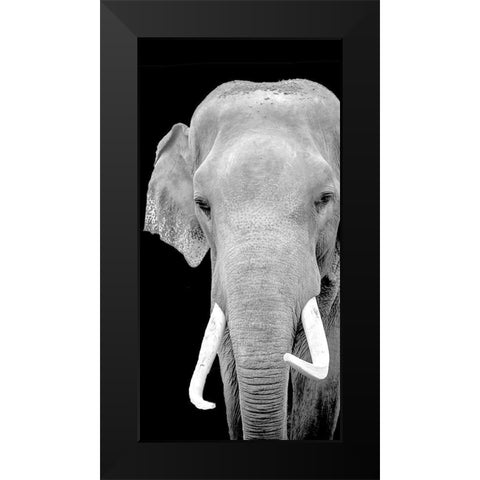 Strong 2 Black Modern Wood Framed Art Print by Allen, Kimberly