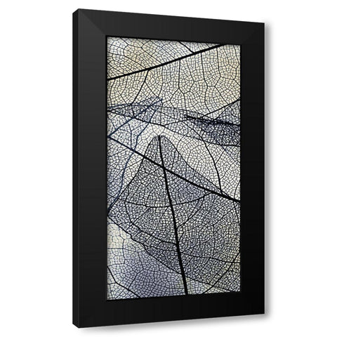 Transparent 1 Black Modern Wood Framed Art Print with Double Matting by Allen, Kimberly