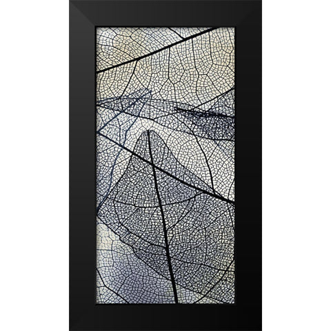 Transparent 1 Black Modern Wood Framed Art Print by Allen, Kimberly