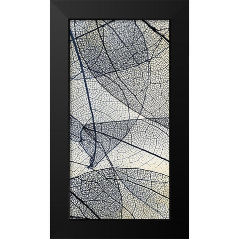 Transparent 2 Black Modern Wood Framed Art Print by Allen, Kimberly