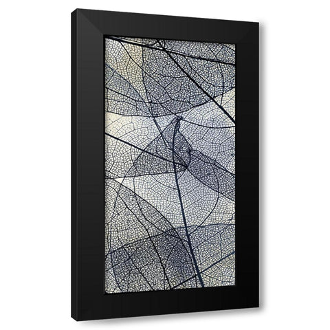 Transparent 3 V5 Black Modern Wood Framed Art Print with Double Matting by Allen, Kimberly