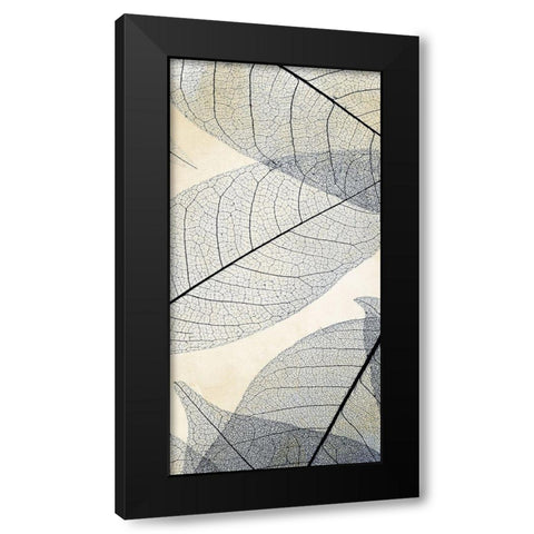 Transparent Leaves 1 Black Modern Wood Framed Art Print with Double Matting by Allen, Kimberly