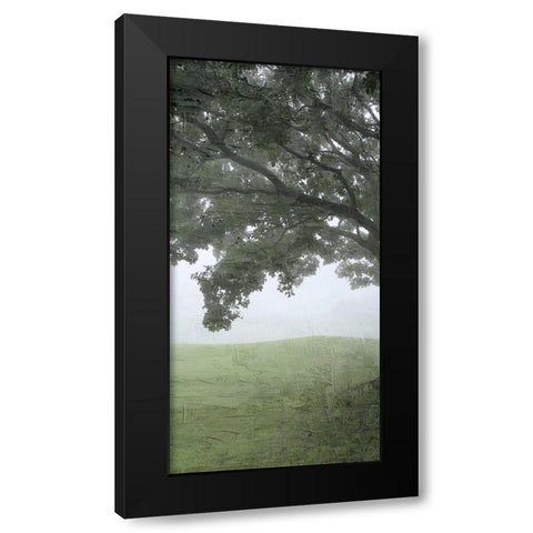 Summer Shades 2 Black Modern Wood Framed Art Print with Double Matting by Allen, Kimberly