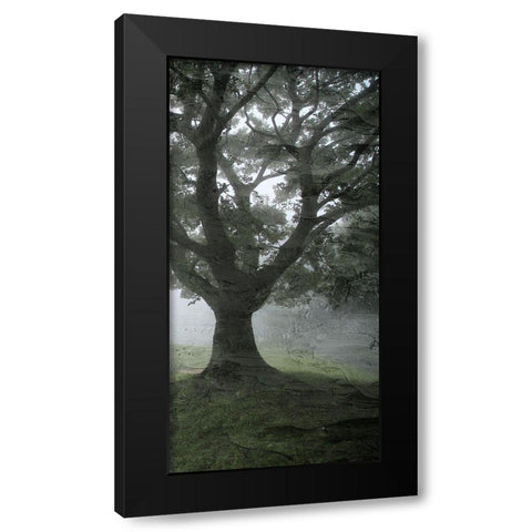 Summer Shades 3 Black Modern Wood Framed Art Print with Double Matting by Allen, Kimberly