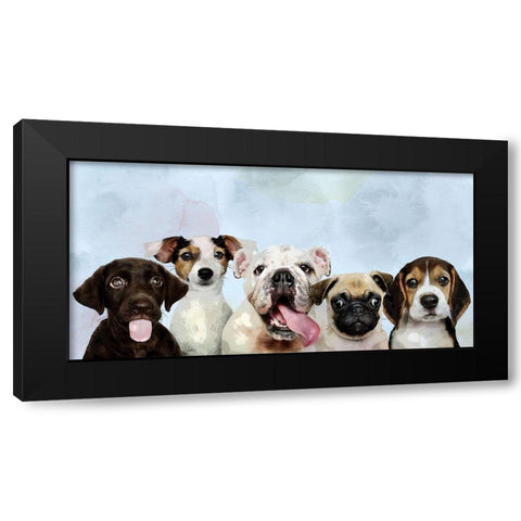Puppy Portrait Black Modern Wood Framed Art Print with Double Matting by Allen, Kimberly